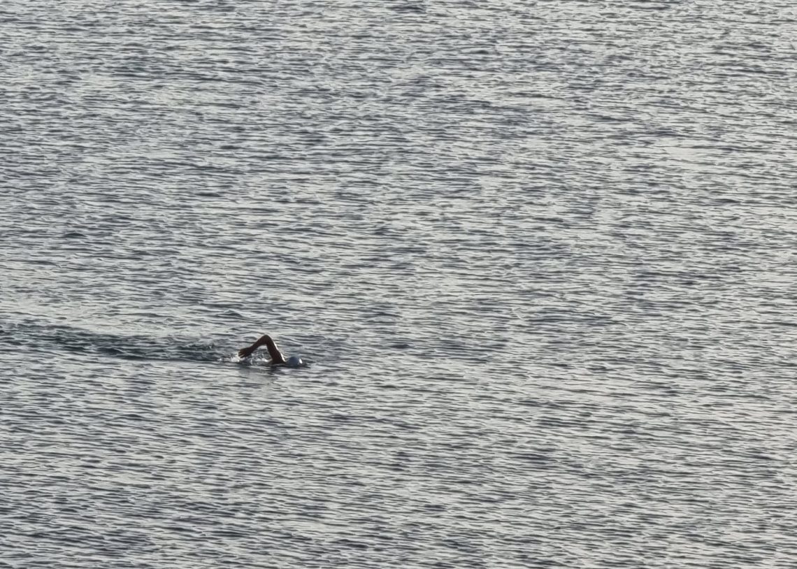 Lone swimmer in the sea