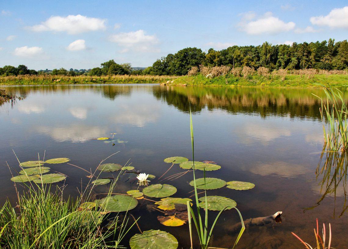 Field Head Farm