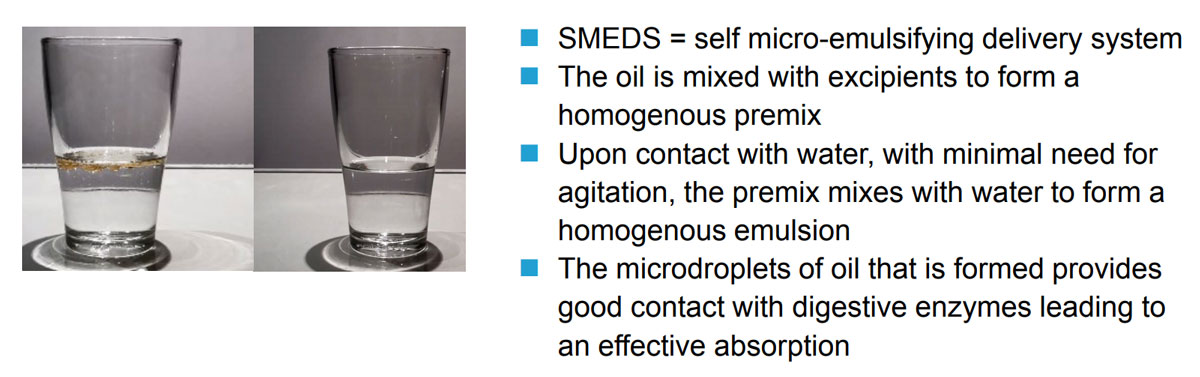 Accelon SMEDS=Self Micro Emulsifying Delivery System