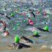 Beginner open water event