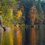 Cold water swimming