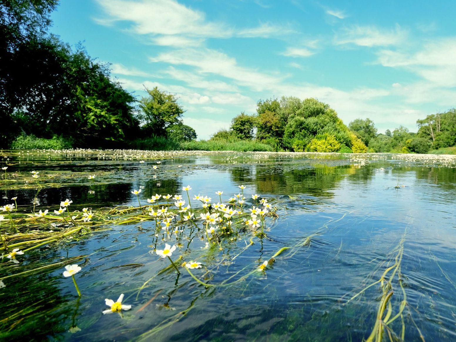 Wild swims south west
