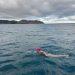 Maya Merhige, Cook Strait
