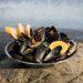 Moules Mariniére