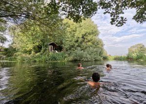 Sauna culture