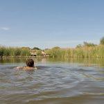 Elmley Nature Reserve