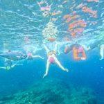Swim guide