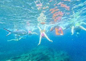 Swim guide