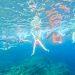 Swim guide