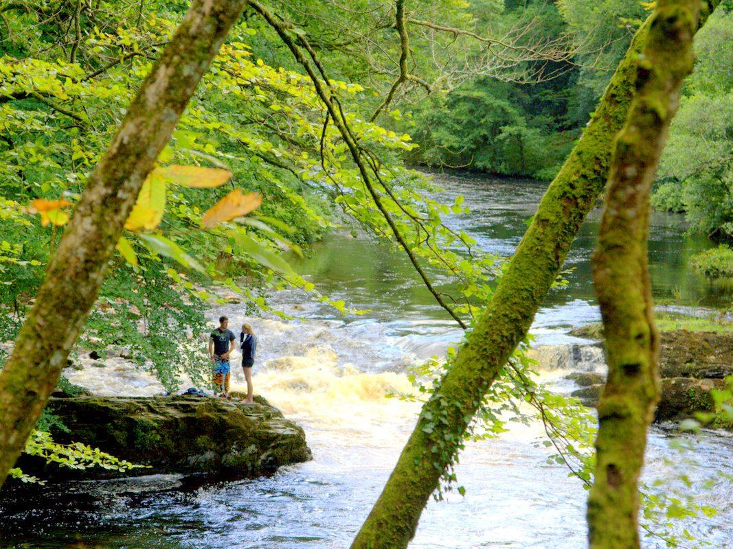 Wild swims south west
