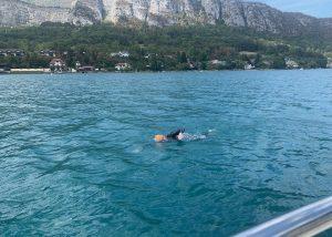 Marathon swimming