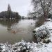 Winter swimming