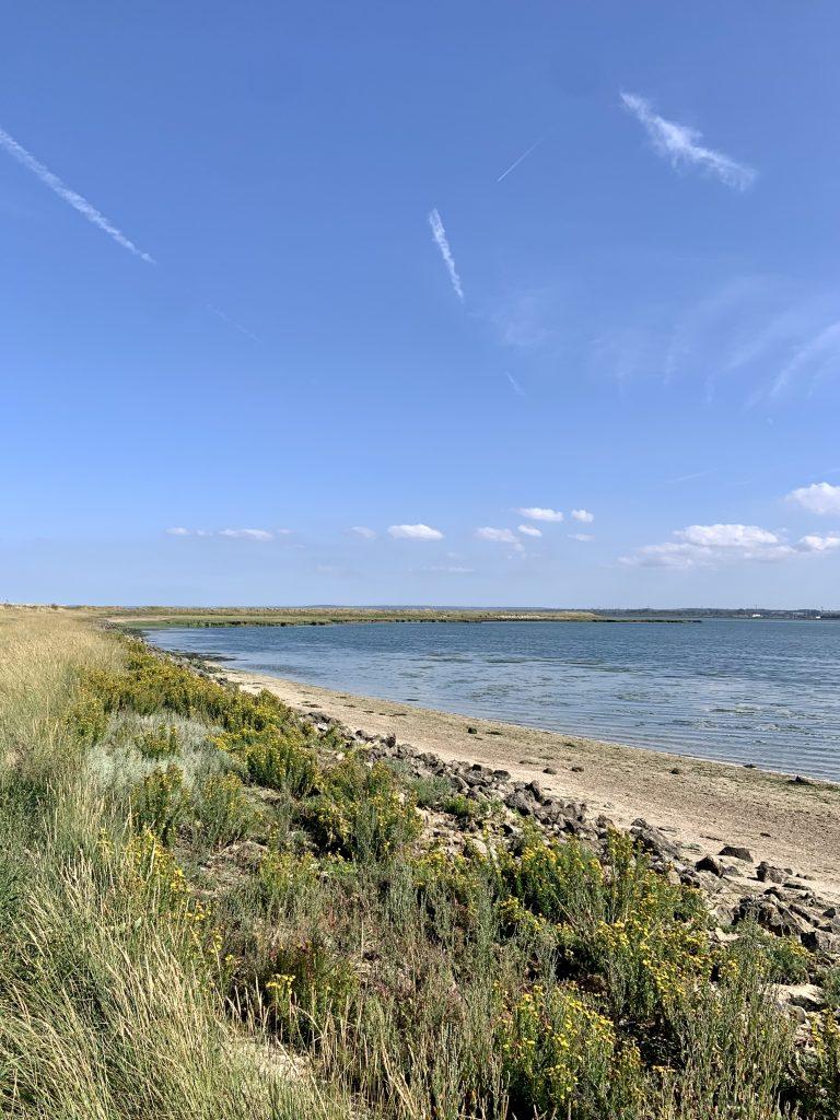 Elmley Nature Reserve