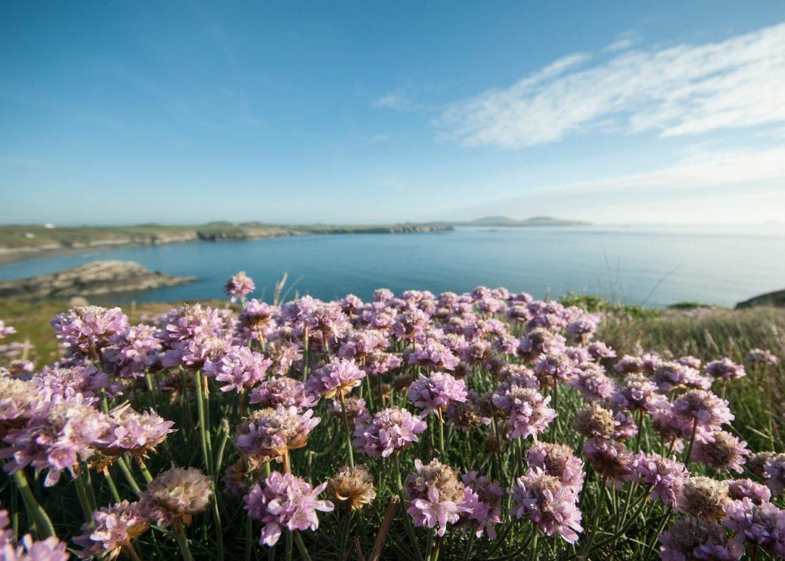 Wild swimming walks Pembrokeshire