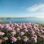 Wild swimming walks Pembrokeshire