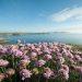 Wild swimming walks Pembrokeshire