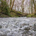 The Rivers Trust