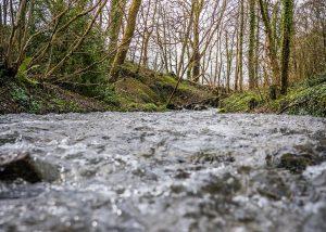 The Rivers Trust