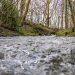The Rivers Trust