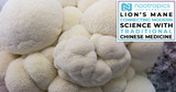 Lion’s Mane Mushroom: The Journey To Connect Modern Science With Traditional Chinese Medicine