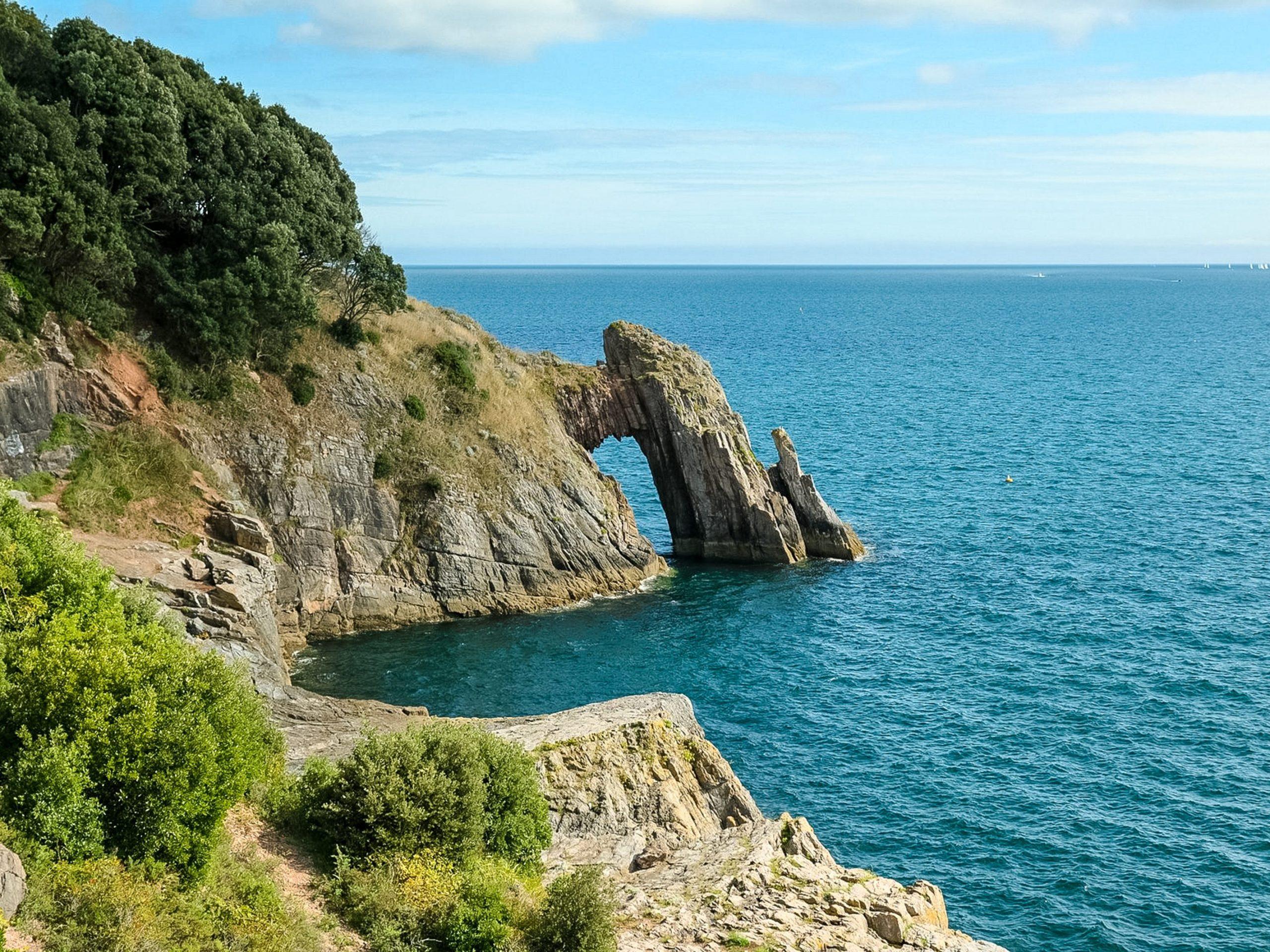 Wild swims south west