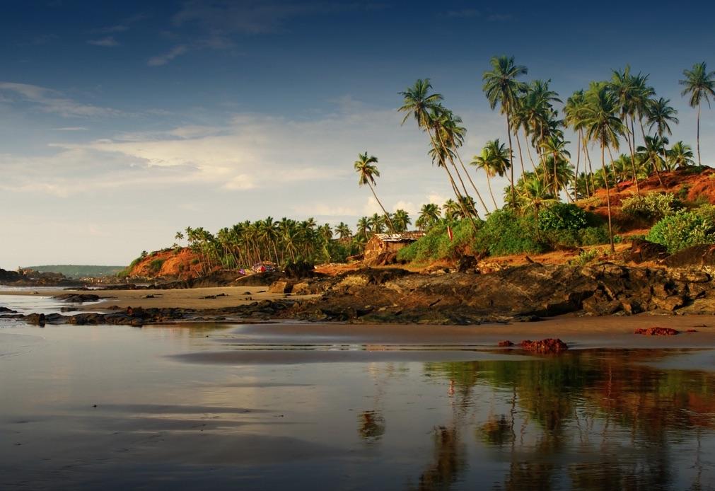 Oceanman Goa