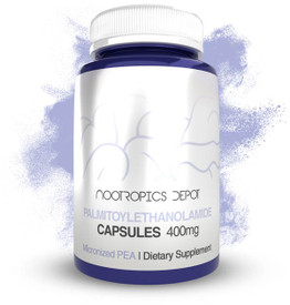 Palmitoylethanolamide Capsules | Micronized PEA