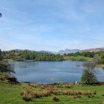 Zest Life swim retreat