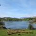 Zest Life swim retreat
