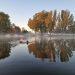 A swimmer in a river in autumn. The trees on the opposite bank in full autumn colours are reflected in the water.