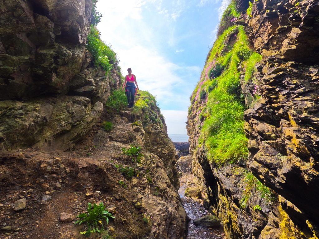 Wild swimming West Wales