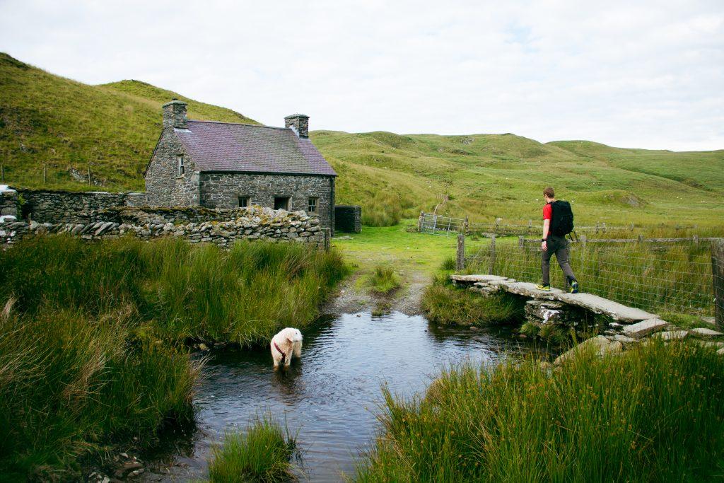Wild swimming West Wales
