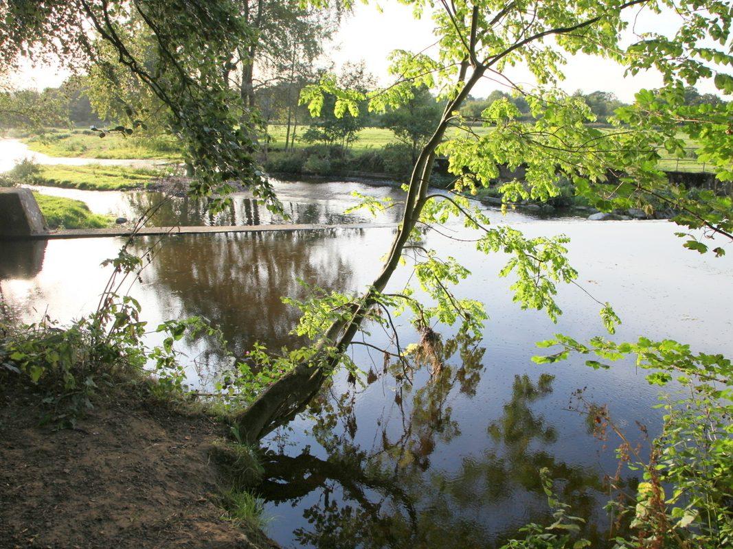 Wild swims south west