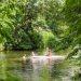 Wild swims south west