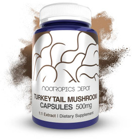 Turkey Tail Mushroom Extract Capsules