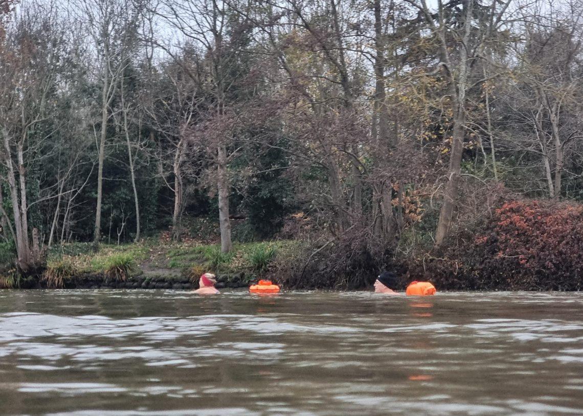 Two swimmers with tow floats in the Thames with a backdrop of bare trees.