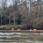 Two swimmers with tow floats in the Thames with a backdrop of bare trees.