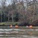 Two swimmers with tow floats in the Thames with a backdrop of bare trees.