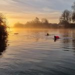 Two swimmers in the Thames at sunrise on a winter morning.