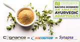 Bacopa Monnieri | An Amazing Ayurvedic Adaptogen | Cognance vs Bacognize vs Synapsa vs 24%