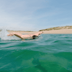 Butterfly stroke