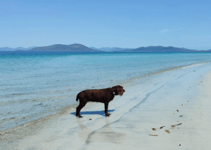 Swimming spot West Beach, Berneray
