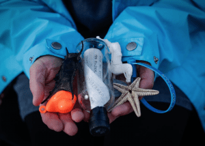 Beachcombing