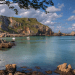 Swimming Torbay