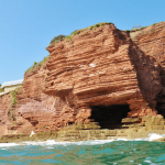 Swimming Torbay