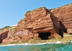 Swimming Torbay