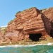Swimming Torbay