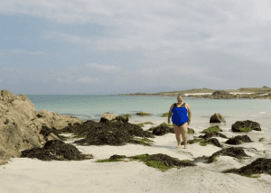 Swimming Hebrides