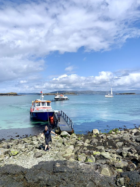 Swimming Hebrides