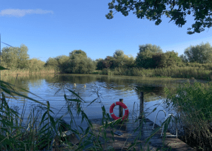 ReWild Swim Club